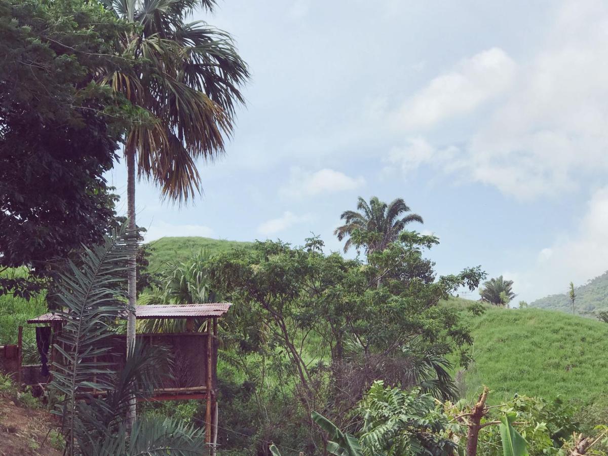 The Valley Tayrona Hostel- A Social Jungle Hostel Эль-Саино Экстерьер фото