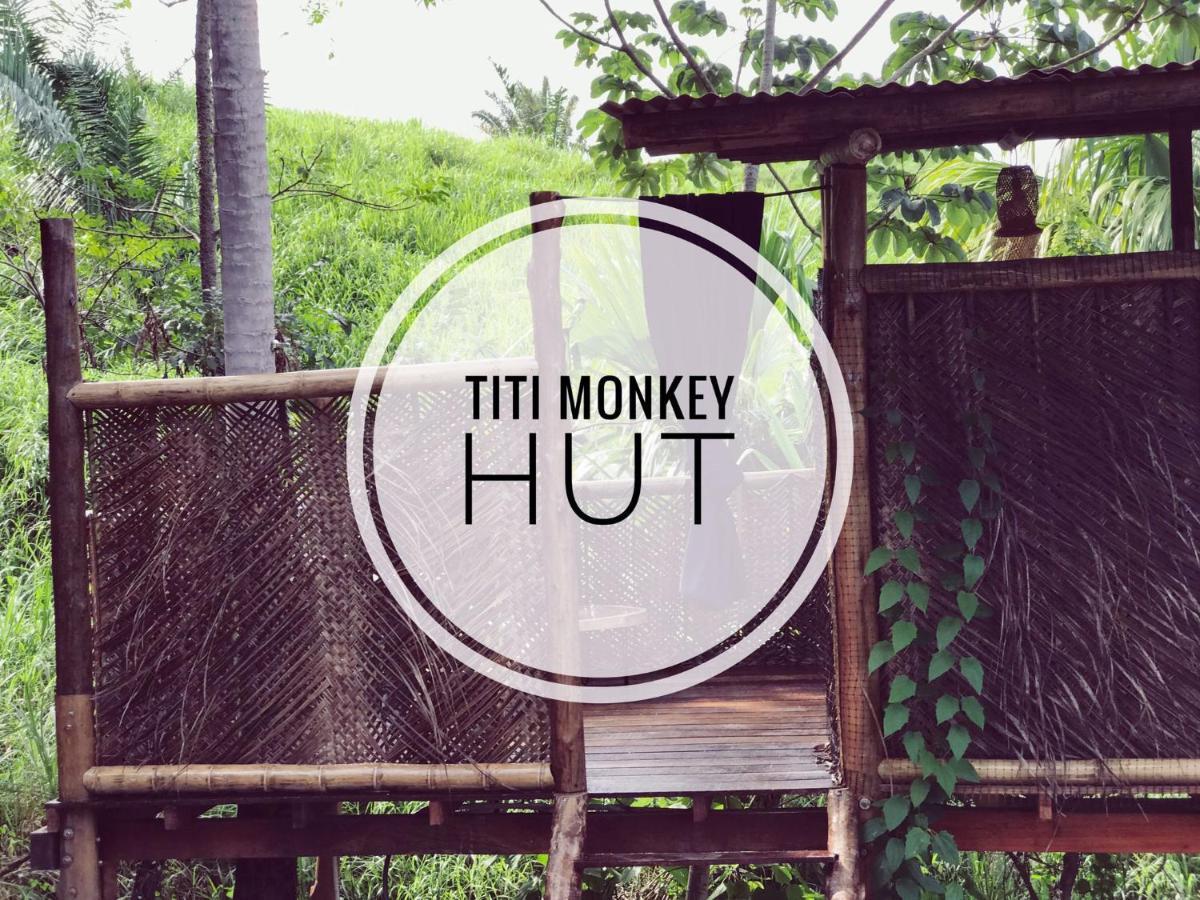 The Valley Tayrona Hostel- A Social Jungle Hostel Эль-Саино Экстерьер фото