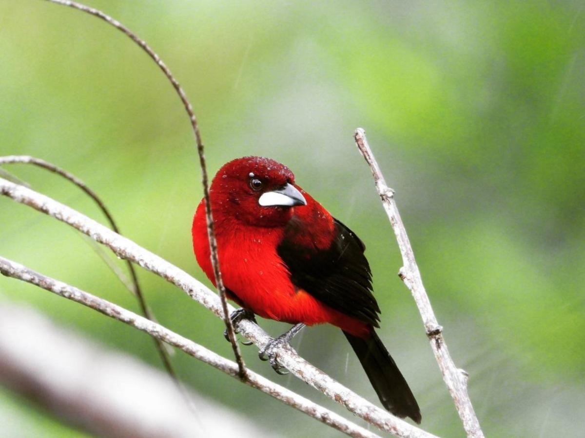 The Valley Tayrona Hostel- A Social Jungle Hostel Эль-Саино Экстерьер фото