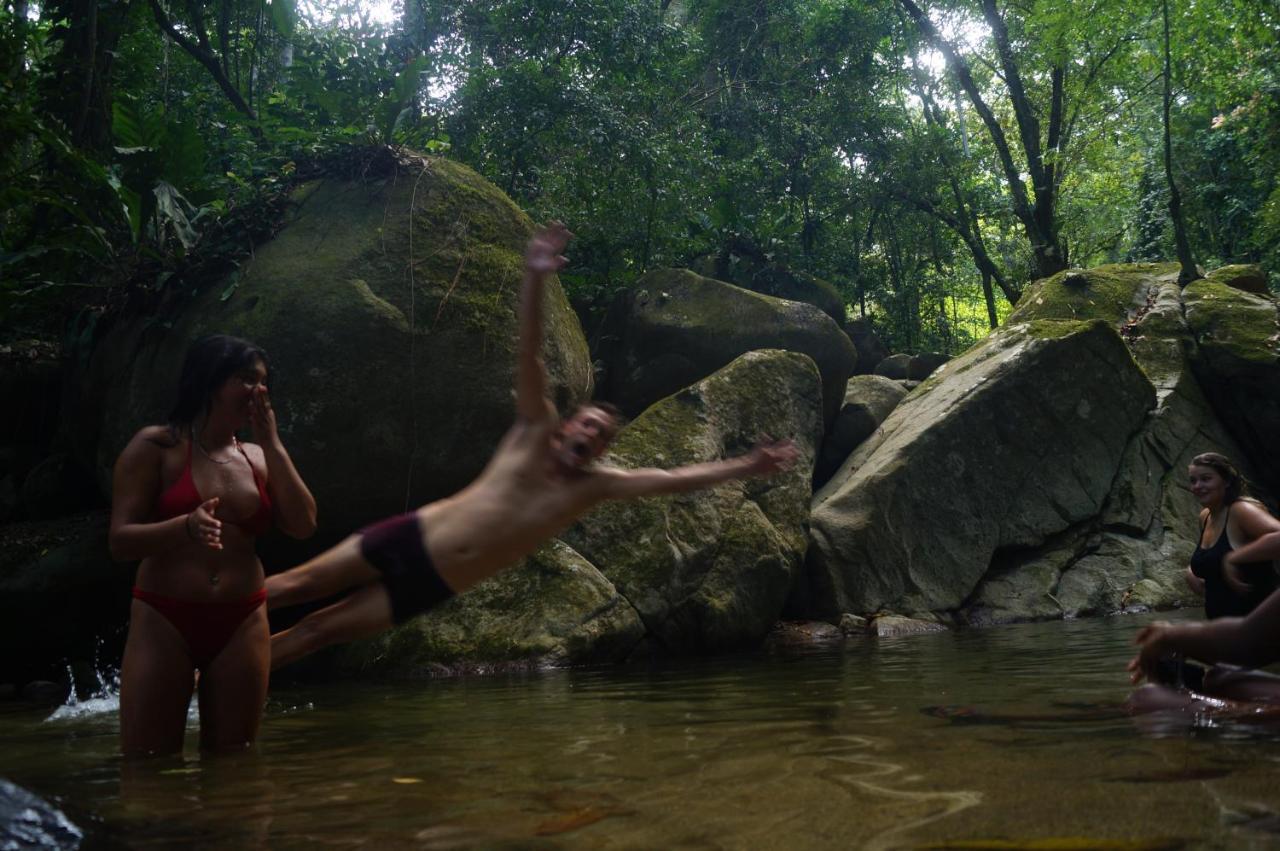 The Valley Tayrona Hostel- A Social Jungle Hostel Эль-Саино Экстерьер фото