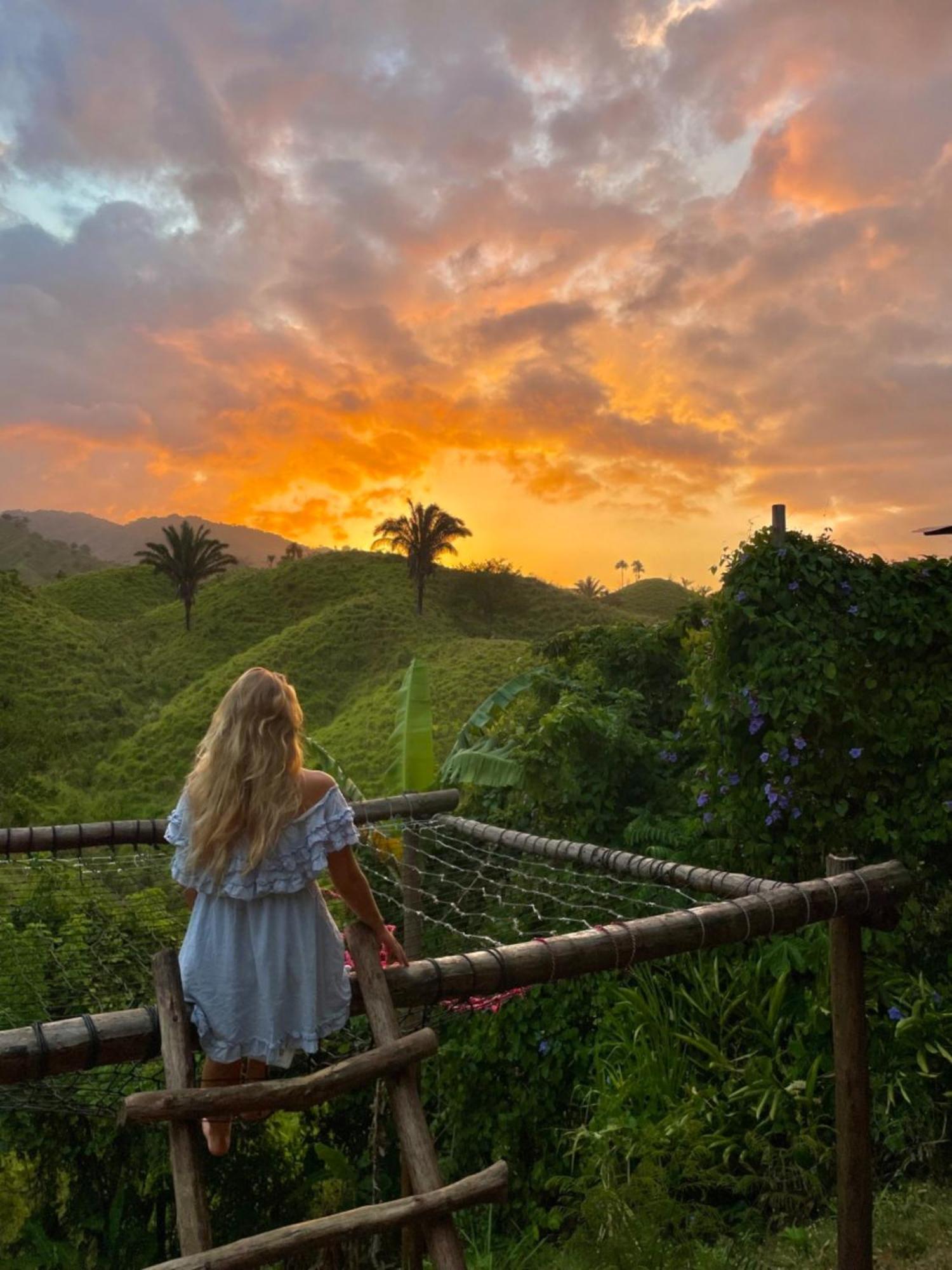 The Valley Tayrona Hostel- A Social Jungle Hostel Эль-Саино Экстерьер фото