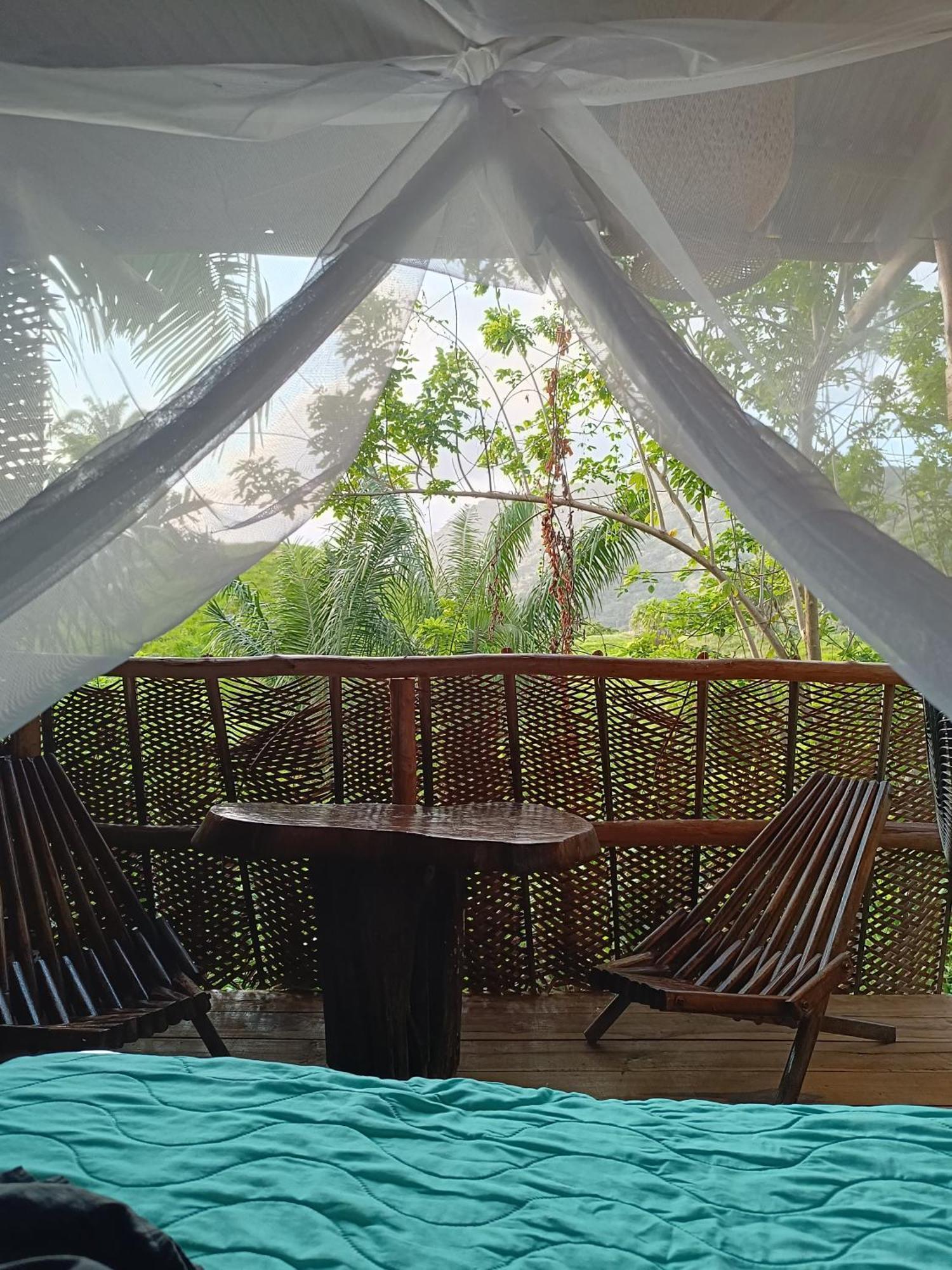 The Valley Tayrona Hostel- A Social Jungle Hostel Эль-Саино Экстерьер фото