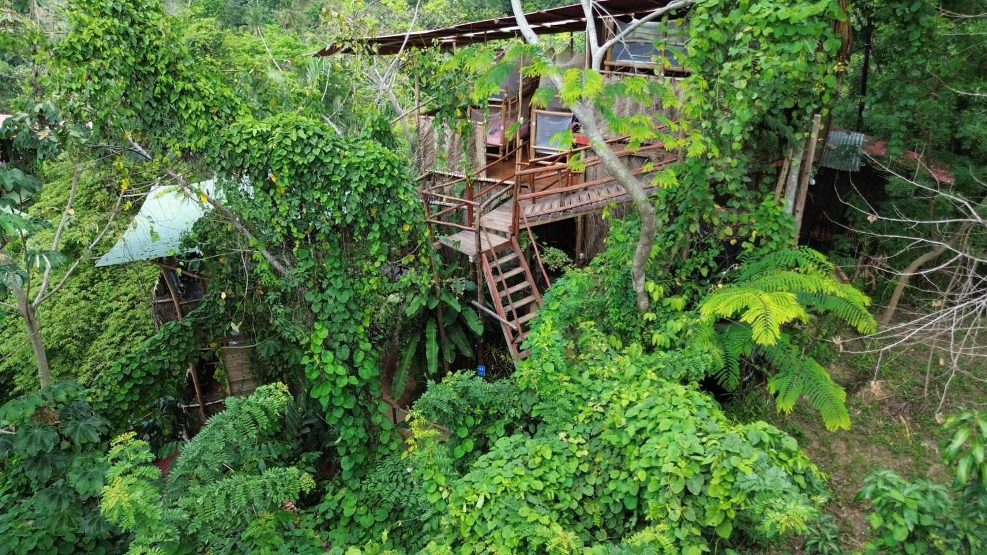 The Valley Tayrona Hostel- A Social Jungle Hostel Эль-Саино Экстерьер фото