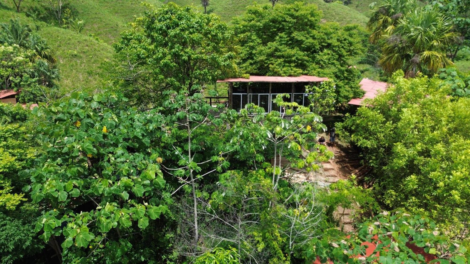 The Valley Tayrona Hostel- A Social Jungle Hostel Эль-Саино Экстерьер фото