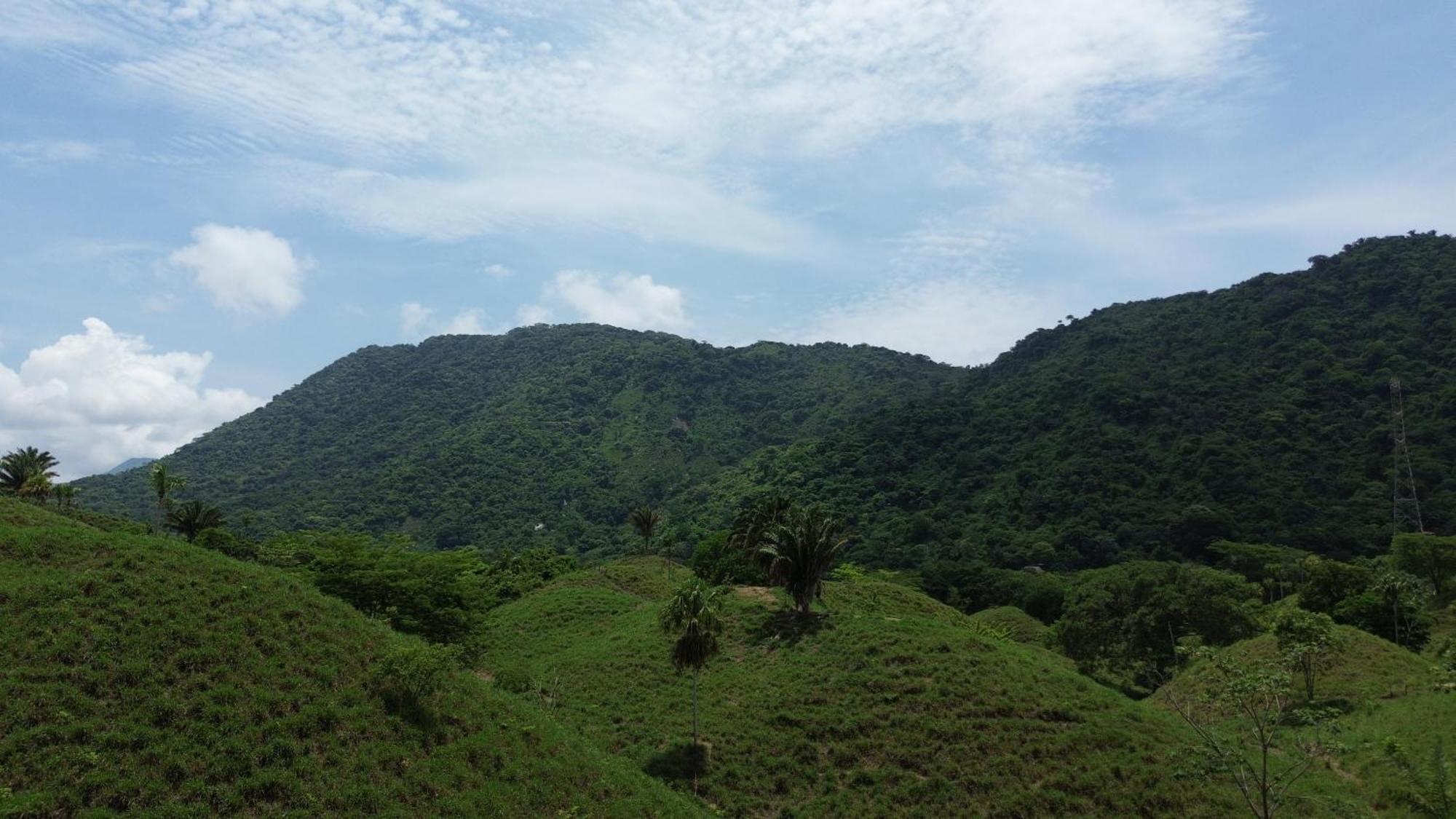 The Valley Tayrona Hostel- A Social Jungle Hostel Эль-Саино Экстерьер фото