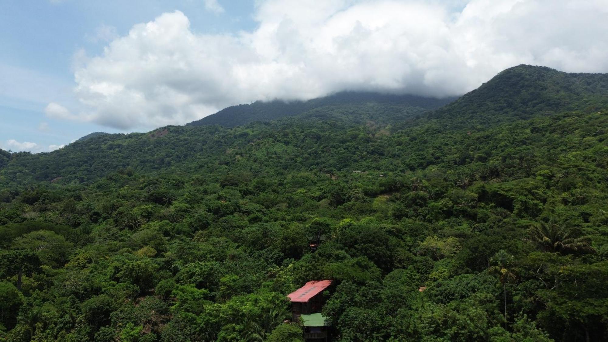 The Valley Tayrona Hostel- A Social Jungle Hostel Эль-Саино Экстерьер фото