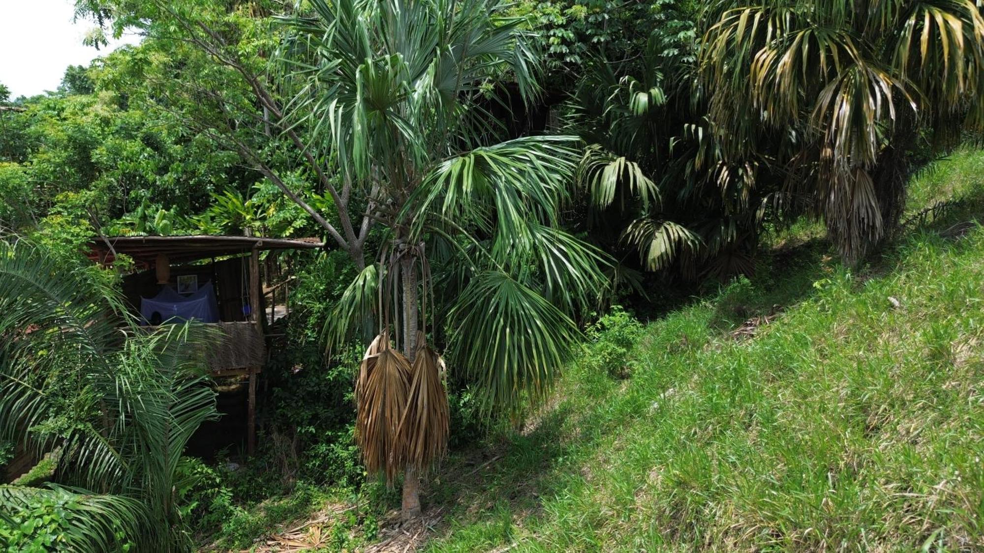 The Valley Tayrona Hostel- A Social Jungle Hostel Эль-Саино Экстерьер фото