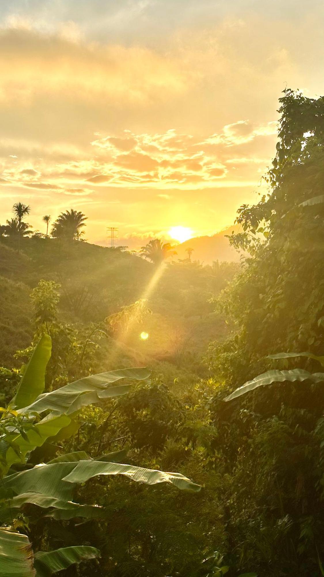 The Valley Tayrona Hostel- A Social Jungle Hostel Эль-Саино Экстерьер фото