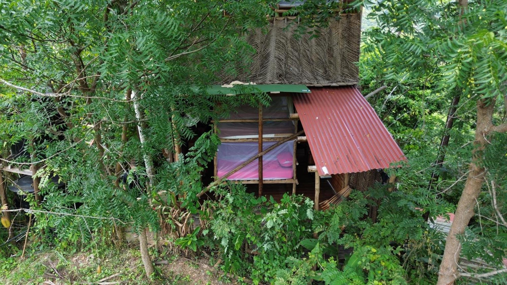 The Valley Tayrona Hostel- A Social Jungle Hostel Эль-Саино Экстерьер фото