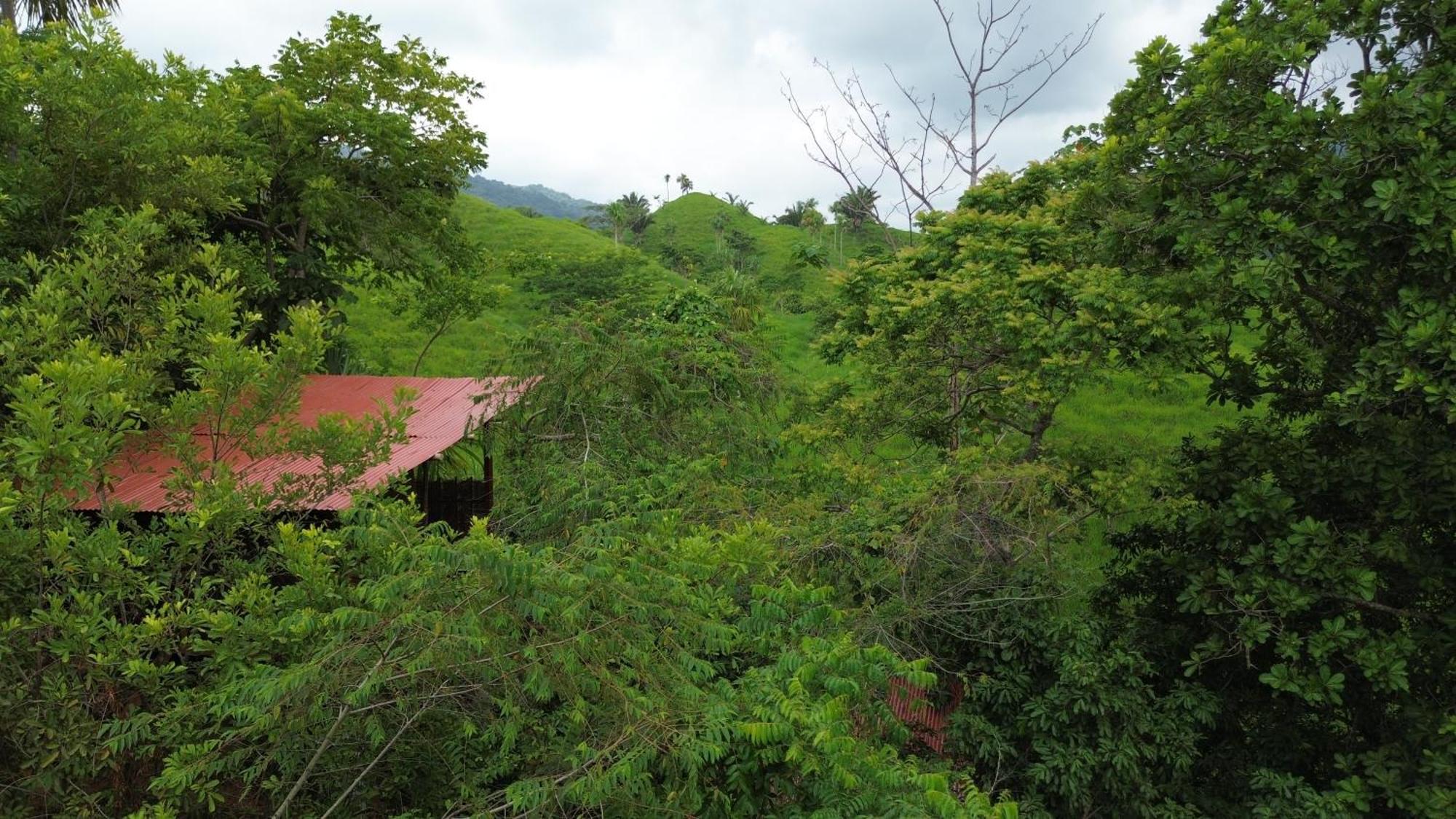 The Valley Tayrona Hostel- A Social Jungle Hostel Эль-Саино Экстерьер фото