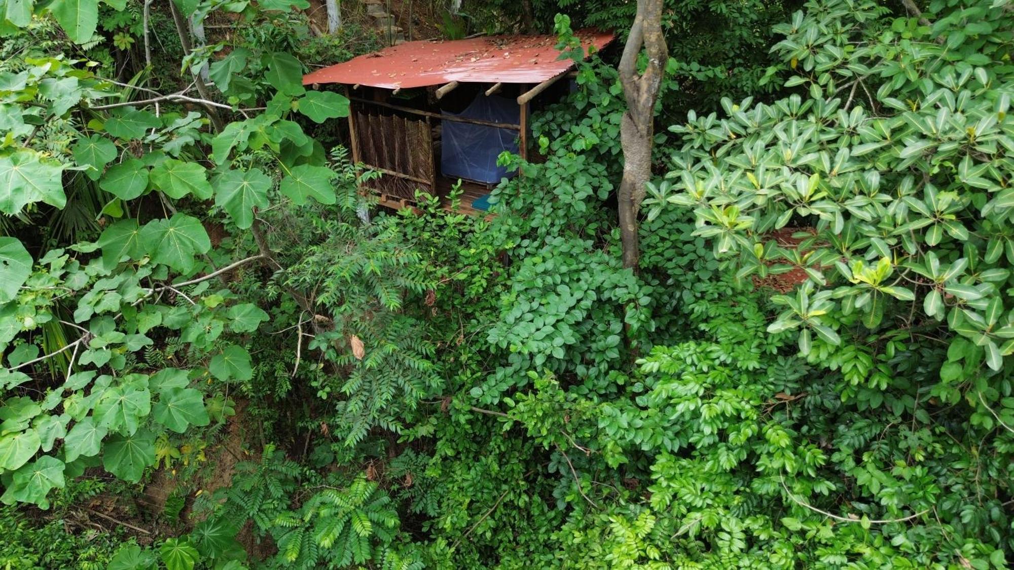The Valley Tayrona Hostel- A Social Jungle Hostel Эль-Саино Экстерьер фото