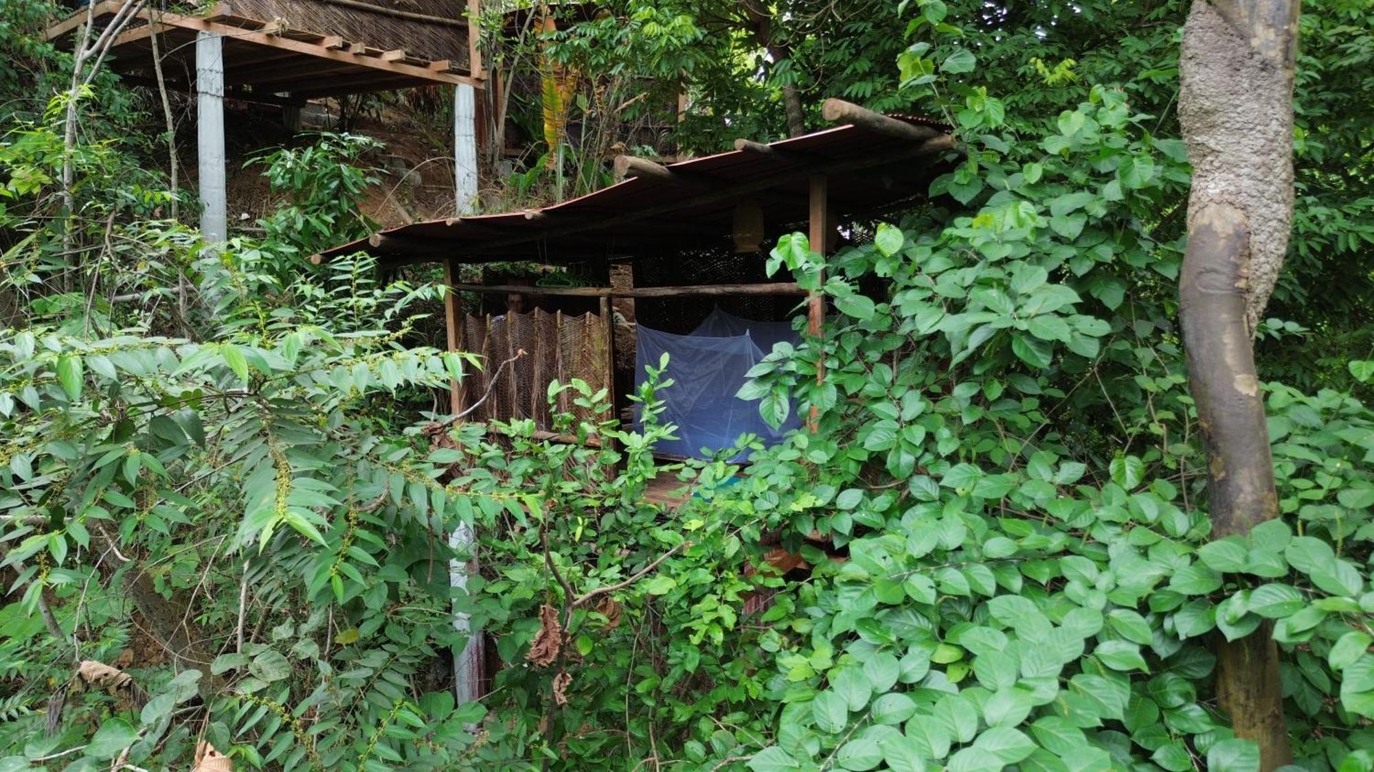 The Valley Tayrona Hostel- A Social Jungle Hostel Эль-Саино Экстерьер фото