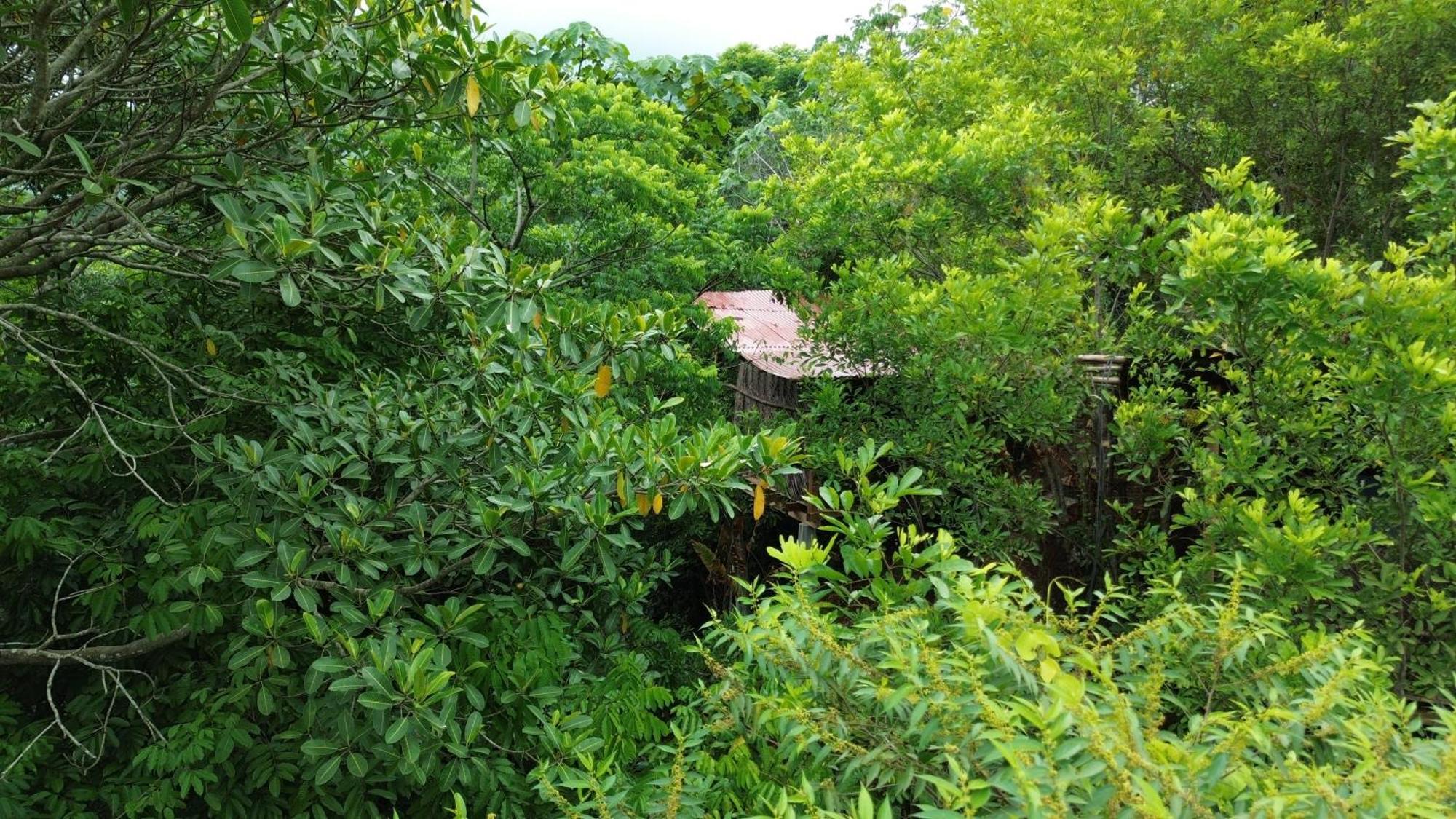 The Valley Tayrona Hostel- A Social Jungle Hostel Эль-Саино Экстерьер фото
