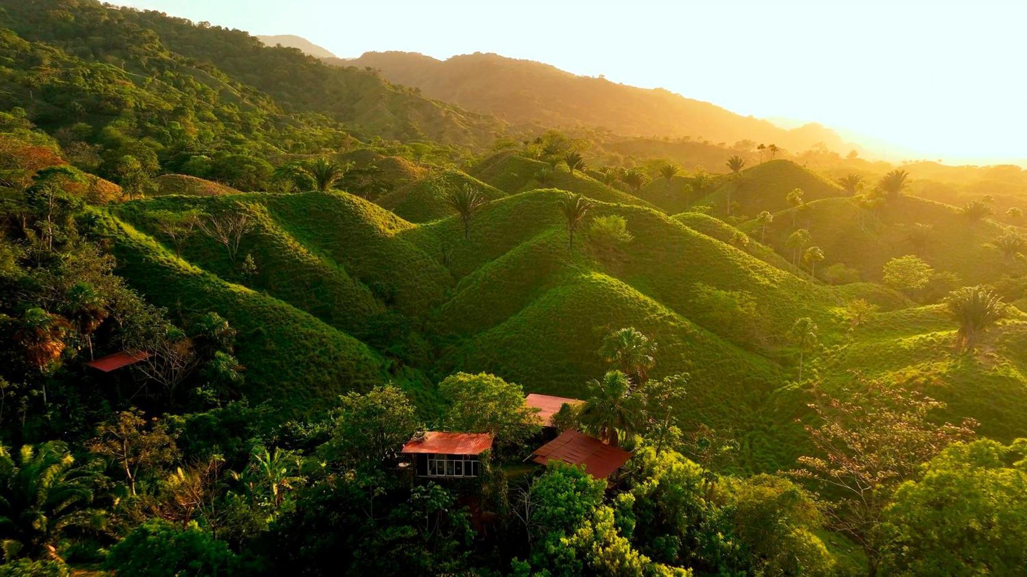 The Valley Tayrona Hostel- A Social Jungle Hostel Эль-Саино Экстерьер фото